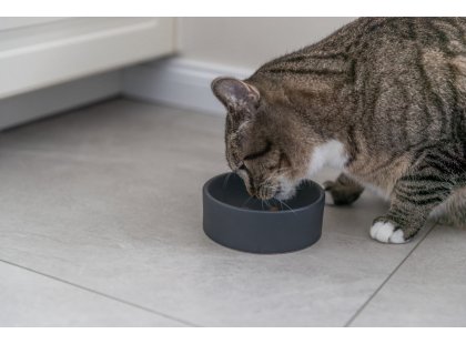 Фото 3 -  миски, напувалки, фонтани Trixie Ceramic Bowl керамічна миска для котів і собак (24810)