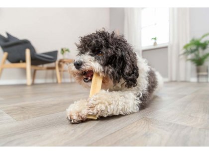 Фото 6 -  лакомства Trixie Chewy Cheese лакомство для собак СЫРНАЯ ПАЛОЧКА