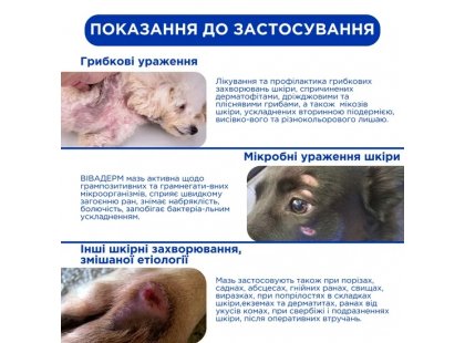 Фото 7 -  противогрибковые препараты Modes Вивадерм обезболивающая, противогрибковая и противовоспалительная мазь для животных