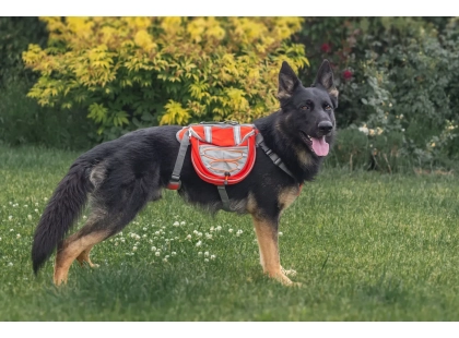 Фото 5 -  амуниция Voyager Pet Lovoyager Dog Bagpack сумка-седло для собак, красный