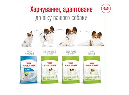 Фото 8 -  сухий корм Royal Canin X-SMALL ADULT (СОБАКИ ДРІБНИХ ПОРІД ЕДАЛТ) корм для собак від 10 місяців