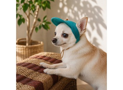 Фото 5 -  одяг Pet Fashion Topaz кепка для собак