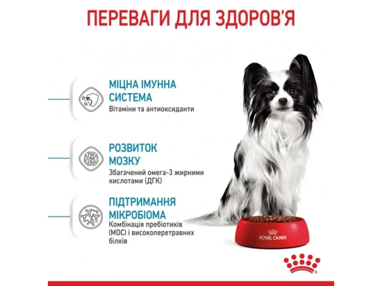 Фото - вологий корм (консерви) Royal Canin X-SMALL PUPPY вологий корм для цуценят мініатюрних порід