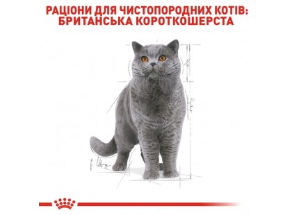 Фото 4 -  влажный корм (консервы) Royal Canin BRITISH SHORTHAIR ADULT влажный корм для кошек породы британская короткошерстная