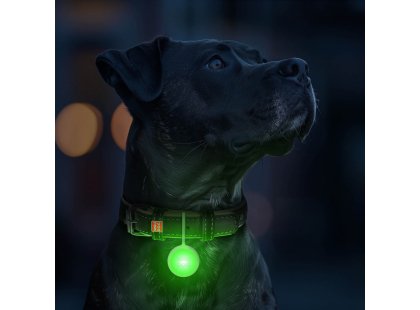 Фото 4 -  амуниция Collar WAUDOG фонарик на ошейник для собак и кошек