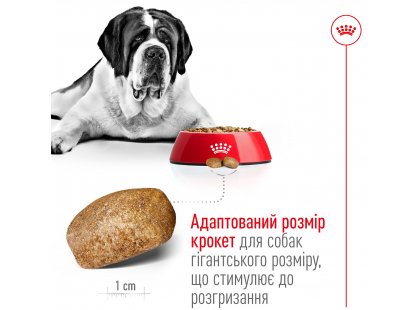 Фото 3 -  сухий корм Royal Canin GIANT ADULT (СОБАКИ ГІГАНТСЬКИХ ПОРІД ЕДАЛТ) корм для собак від 18 місяців