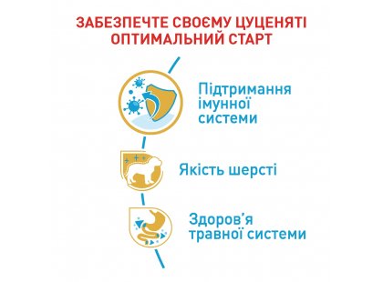 Фото 5 -  сухий корм Royal Canin POODLE PUPPY корм для цуценят пуделя до 10 місяців