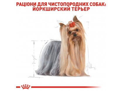 Фото - сухой корм Royal Canin YORKSHIRE TERRIER ADULT (ЙОРКШИР ТЕРЬЕР ЭДАЛТ) корм для собак от 10 месяцев