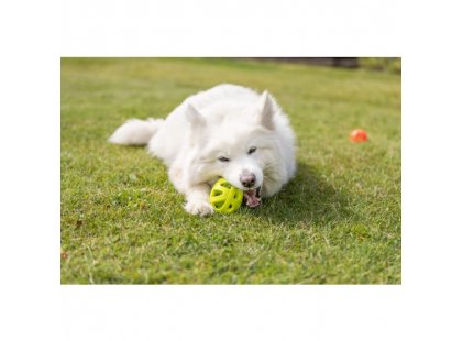 Фото 3 -  игрушки Trixie Honeycomb Rugby Ball игрушка для собак МЯЧ ДЛЯ РЕГБИ (33544)