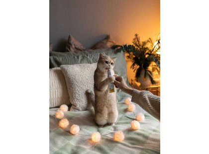 Фото 6 -  седативні препарати (заспокійливі) Gimcat Expert Line RELAX Паста антистрес для котів