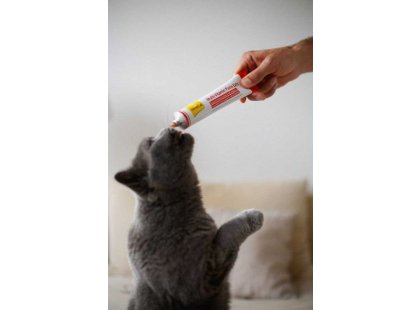 Фото 5 -  витамины и минералы Gimcat (Джимкет) MULTI-VITAMIN EXTRA PASTE (МУЛЬТИВИТАМИННАЯ ПАСТА EКСТРА БЕЗ САХАРА) лакомство для кошек