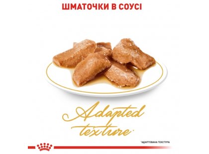 Фото 10 -  влажный корм (консервы) Royal Canin MAINE COON ADULT влажный корм для кошек породы мейн-кун
