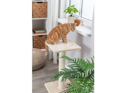 Фото 5 -  дряпалки, з будиночками Trixie Baena кігтеточка-стовпчик із лежаком для котів, бежевий (43370)