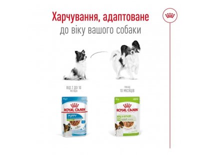 Фото 4 -  влажный корм (консервы) Royal Canin X-SMALL ADULT влажный корм для собак миниатюрных пород