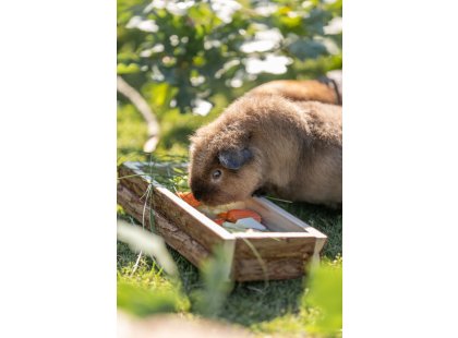 Фото 5 -  аксессуары Trixie лоток для корма для грызунов (60748)