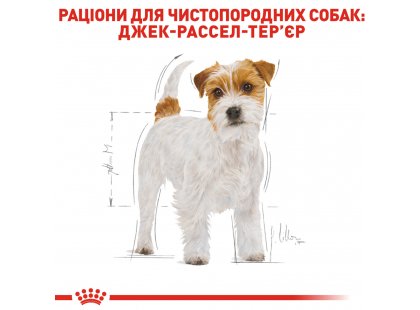 Фото - сухий корм Royal Canin JACK RUSSELL ADULT (ДЖЕК РАССЕЛ ЕДАЛТ) корм для собак від 10 місяців