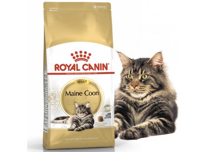 Фото - сухий корм Royal Canin MAINE COON (МЕЙН-КУН) корм для кішок від 1 року