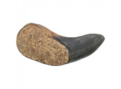 Фото 2 -  лакомства Trixie Buffalo Horn лакомство для собак РОГ БУЙВОЛА С МЯСОМ (27751)
