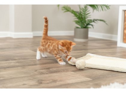 Фото 6 -  когтеточки, с домиками Trixie КОВРИК С МЯЧИКОМ драпка для кошек, сизаль, бежевый (4325)