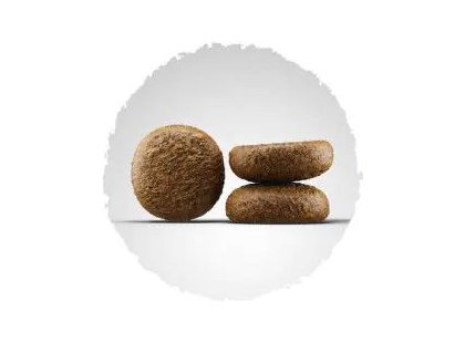 Фото 3 -  сухой корм Josera Active Nature сухой корм для активных собак ЯГНЕНОК