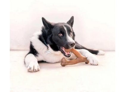 Фото 3 -  іграшки Benebone Wishbone Chicken жувальна іграшка для собак ВИЛОЧКОВА КІСТКА, смак КУРКИ