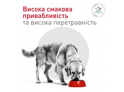 Фото 5 -  ветеринарные корма Royal Canin Glycobalance сухой лечебный корм для собак при сахарном диабете