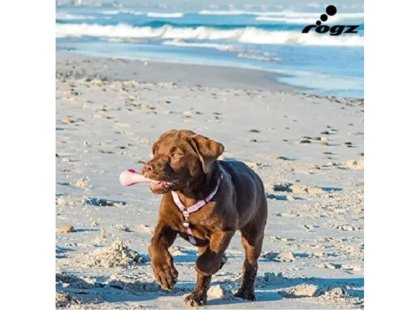 Фото 2 -  іграшки Kong Rogz DaBone іграшка для собак КІСТКА, помаранчева