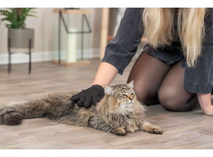 Фото 7 -  расчески, щетки Trixie Coat Care Glove рукавица-щетка массажная для кошек (23132)