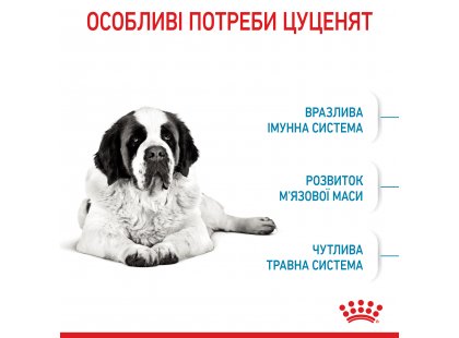 Фото 7 -  сухой корм Royal Canin GIANT JUNIOR (ЮНИОРЫ ГИГАНТСКИХ ПОРОД) корм для щенков от 8-24 месяцев