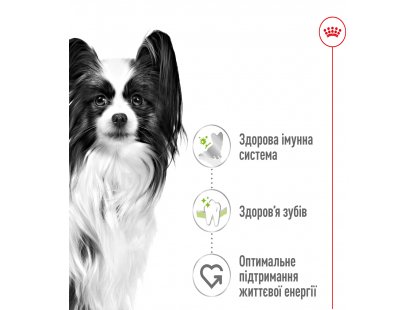 Фото 6 -  сухий корм Royal Canin X-SMALL ADULT (СОБАКИ ДРІБНИХ ПОРІД ЕДАЛТ) корм для собак від 10 місяців