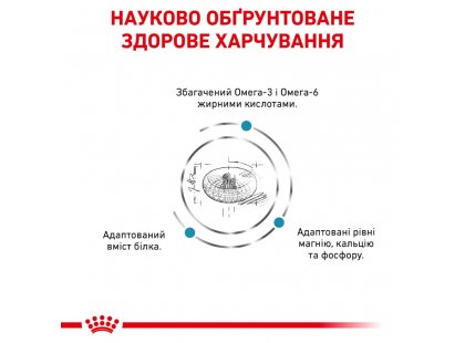 Фото - ветеринарні корми Royal Canin SKIN & COAT сухий лікувальний корм для котів