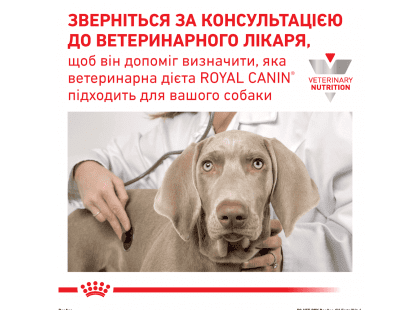 Фото 7 -  ветеринарные корма Royal Canin ANALLERGENIC (АНАЛЕРДЖЕНИК) сухой лечебный корм для собак
