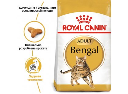 Фото - сухий корм Royal Canin BENGAL ADULT (БЕНГАЛ ЕДАЛТ) корм для котів від 1 року