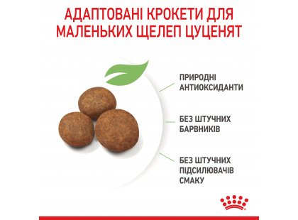 Фото 5 -  сухий корм Royal Canin MAXI PUPPY корм для цуценят великих порід від 2 до 15 місяців