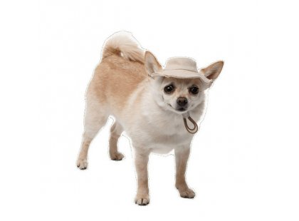 Фото 7 -  одежда Pet Fashion Gold панама для собаки