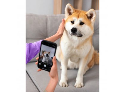 Фото 3 -  повсякденна косметика Hydra Retail Dematting Spray спрей для делікатного розчісування шерсті собак і котів