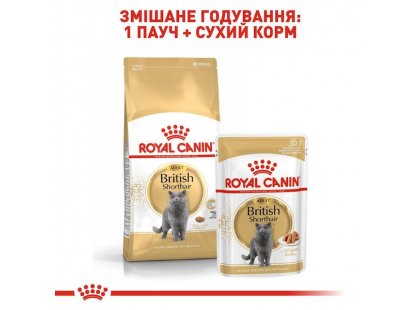 Фото - влажный корм (консервы) Royal Canin BRITISH SHORTHAIR ADULT влажный корм для кошек породы британская короткошерстная