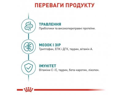 Фото 4 -  сухий корм Royal Canin Ageing 11+ сухий корм для котів старше 11 років