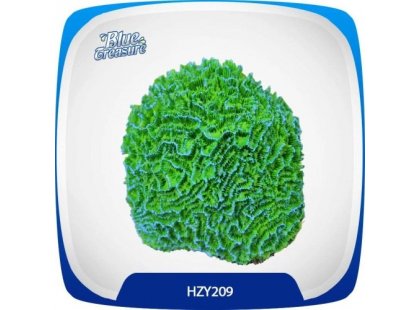 Фото - Blue Treasure HZY 209 Декорация для аквариума ИСКУССТВЕННЫЙ КОРАЛЛ декорации Blue Treasure HZY 209 Декорация для аквариума ИСКУССТВЕННЫЙ КОРАЛЛ