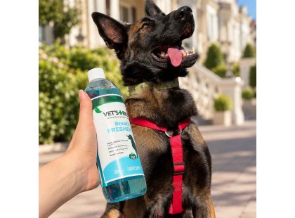 Фото 2 -  для зубів та пащі Vets Best Dental Breath Freshener спрей для свіжого подиху собак