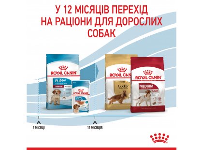 Фото 11 -  сухий корм Royal Canin MEDIUM PUPPY корм для цуценят середніх порід від 2 до 12 місяців