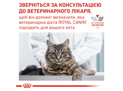 Фото 8 -  ветеринарные корма Royal Canin SKIN & COAT лечебные консервы для кошек для поддержания здоровья кожи и шерсти