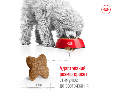 Фото 6 -  сухой корм Royal Canin MINI ADULT (СОБАКИ МЕЛКИХ ПОРОД ЭДАЛТ) корм для собак от 10 месяцев