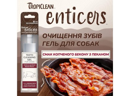 Фото - для зубов и пасти Tropiclean ENTICERS HICKORY SMOKED BACON гель для чистки зубов собак КОПЧЕНЫЙ БЕКОН