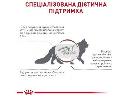 Фото 6 -  ветеринарные корма Royal Canin GASTROINTESTINAL GI32 (ГАСТРО ИНТЕСТИНАЛ) сухой лечебный корм для кошек от 1 года