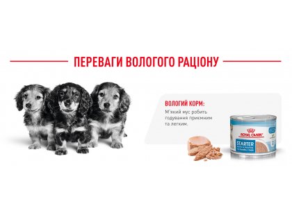 Фото 12 -  вологий корм (консерви) Royal Canin STARTER MOUSSE (СТАРТЕР МУС) вологий корм для цуценят та сук при вагітності та лактації