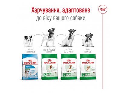 Фото 10 -  сухой корм Royal Canin MINI AGEING 12+ (СОБАКИ МЕЛКИХ ПОРОД ЭЙДЖИН 12+) корм для собак от 12 лет