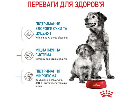 Фото - сухой корм Royal Canin MEDIUM STARTER MOTHER & BABYDOG корм для беременных и кормящих сук и щенков средних пород