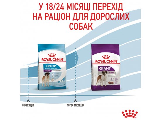 Фото - сухий корм Royal Canin GIANT JUNIOR (ЮНІОРИ ГІГАНТСЬКИХ ПОРОД) корм для цуценят від 8-24 місяців