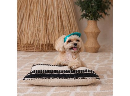 Фото 6 -  одяг Pet Fashion Topaz кепка для собак
